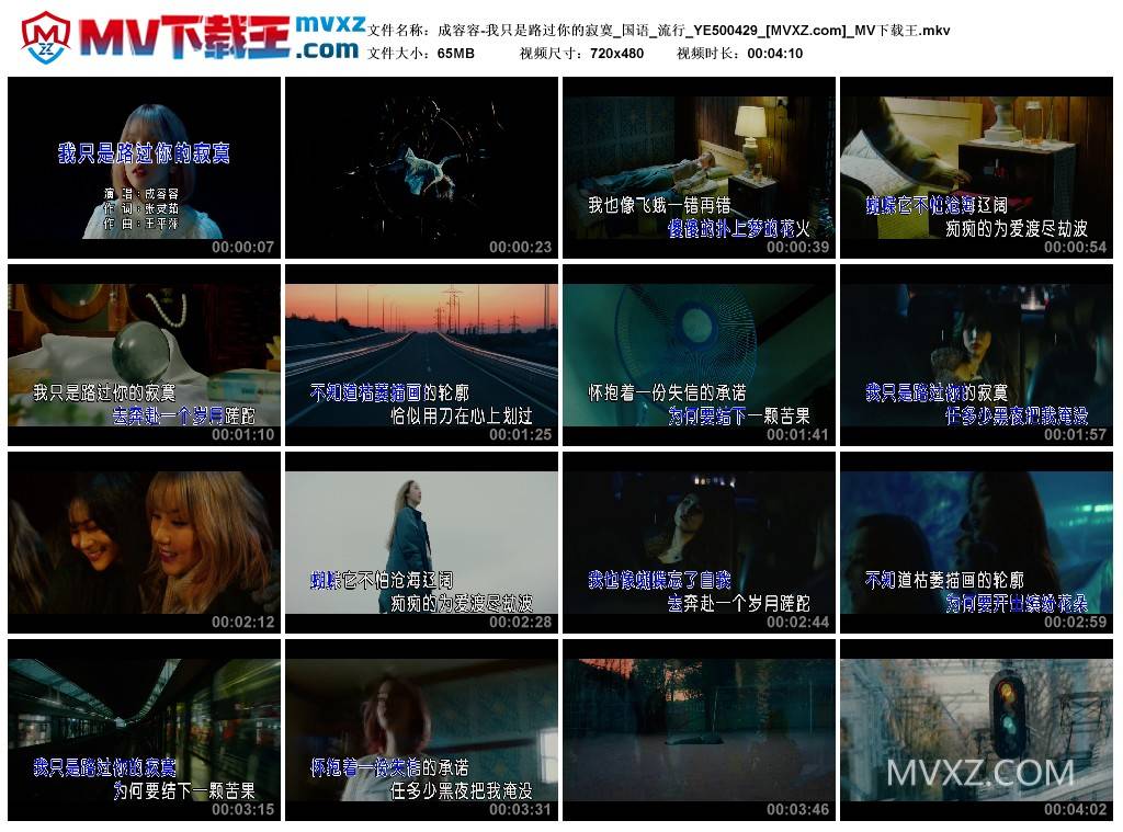 成容容-我只是路过你的寂寞_国语_流行_YE500429